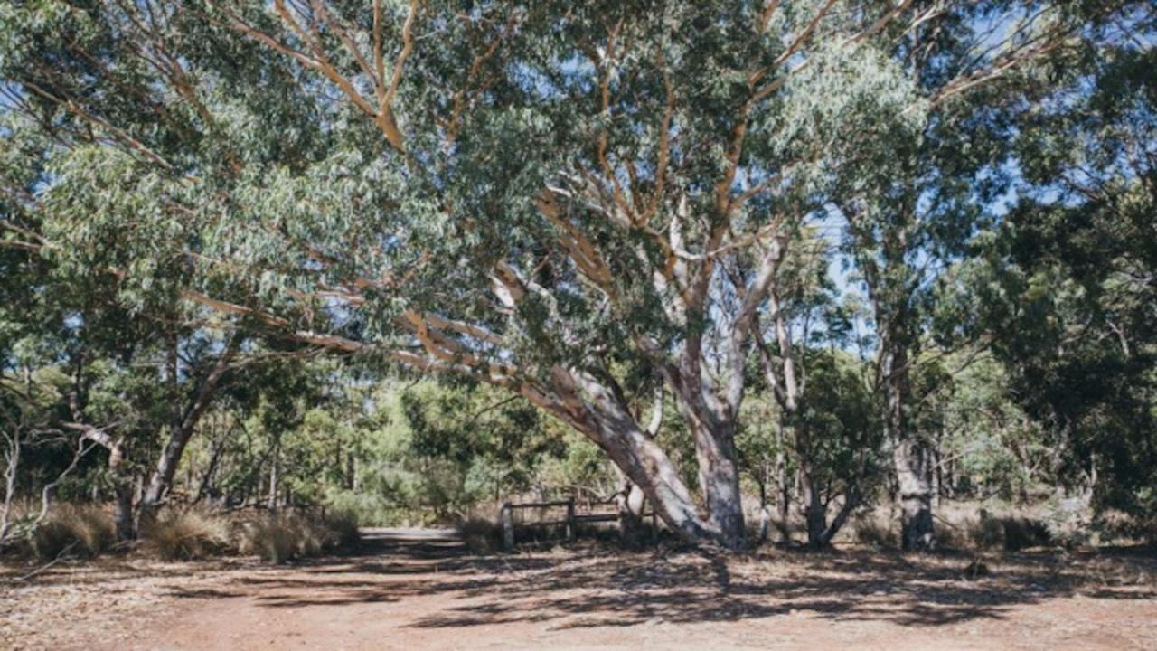 Kangaroo Retreat - Family Favourite Bush Retreat With Kangaroos In Margaret River Villa Exterior photo